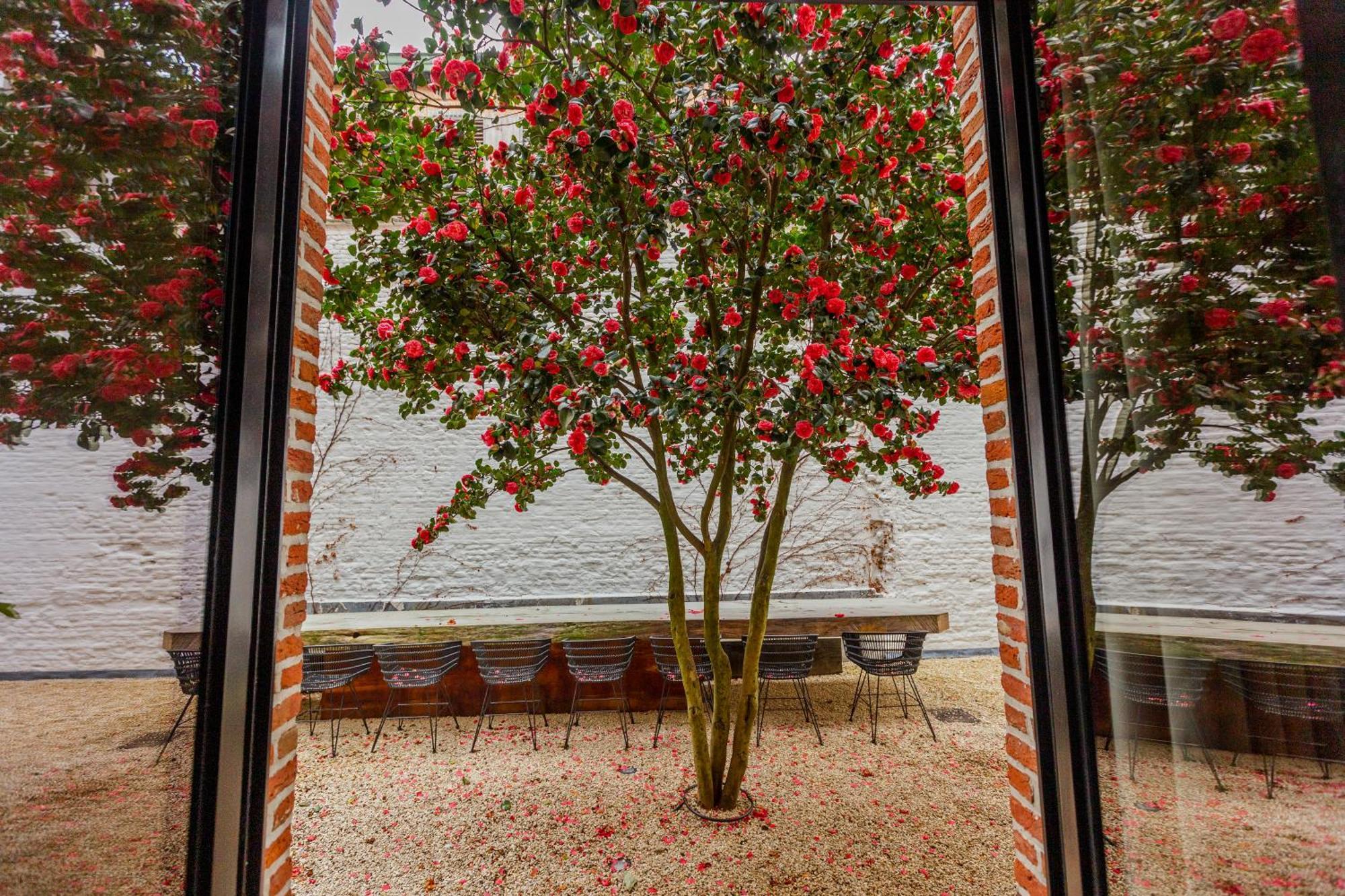 Appartamento Btfl Living Anversa Esterno foto